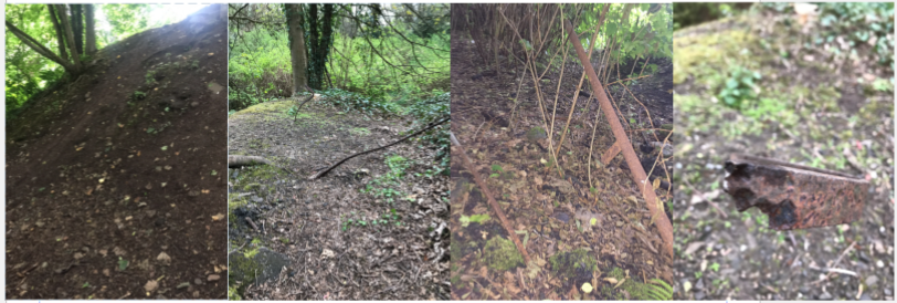 Wooded Land at Crammon Edinburgh