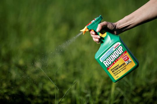 Roundup Weedkiller image